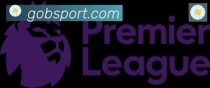 Bsports官网合作伙伴